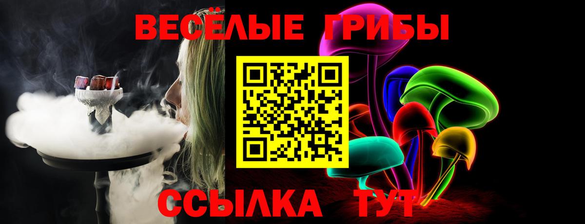 Галлюциногенные грибы ЛСД Зеленодольск